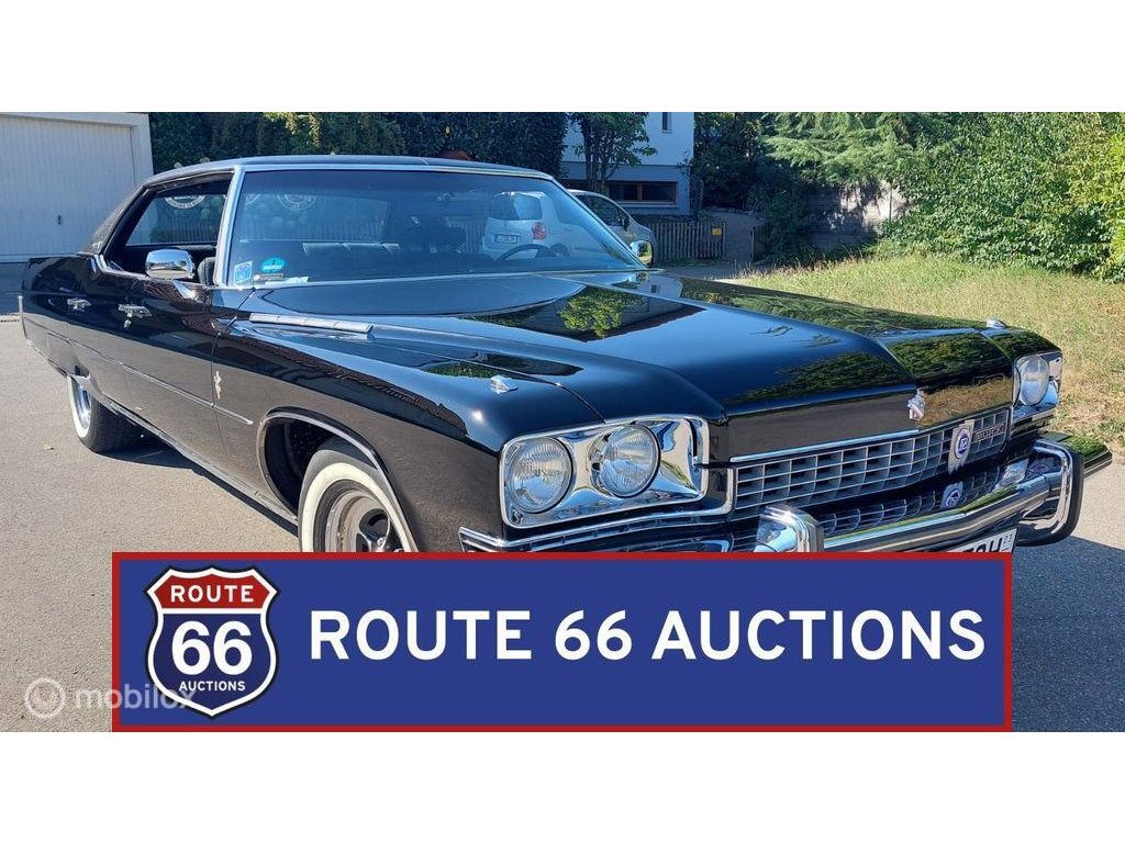 1973 Buick Electra - 225 Custom Limited | 1973 | Route 66 Auctions, foto 1