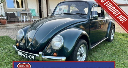 1967 VW Käfer