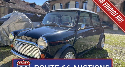Rover Mini
