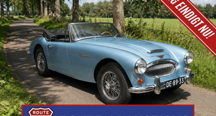 1966 Austin-Healey 3000