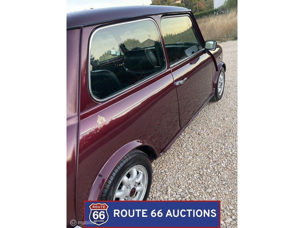 1990 MINI 1000, foto 8