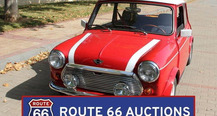 MINI 1000