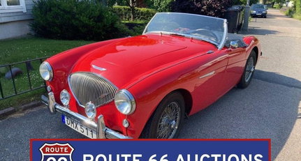 Austin-Healey 100 / 4
