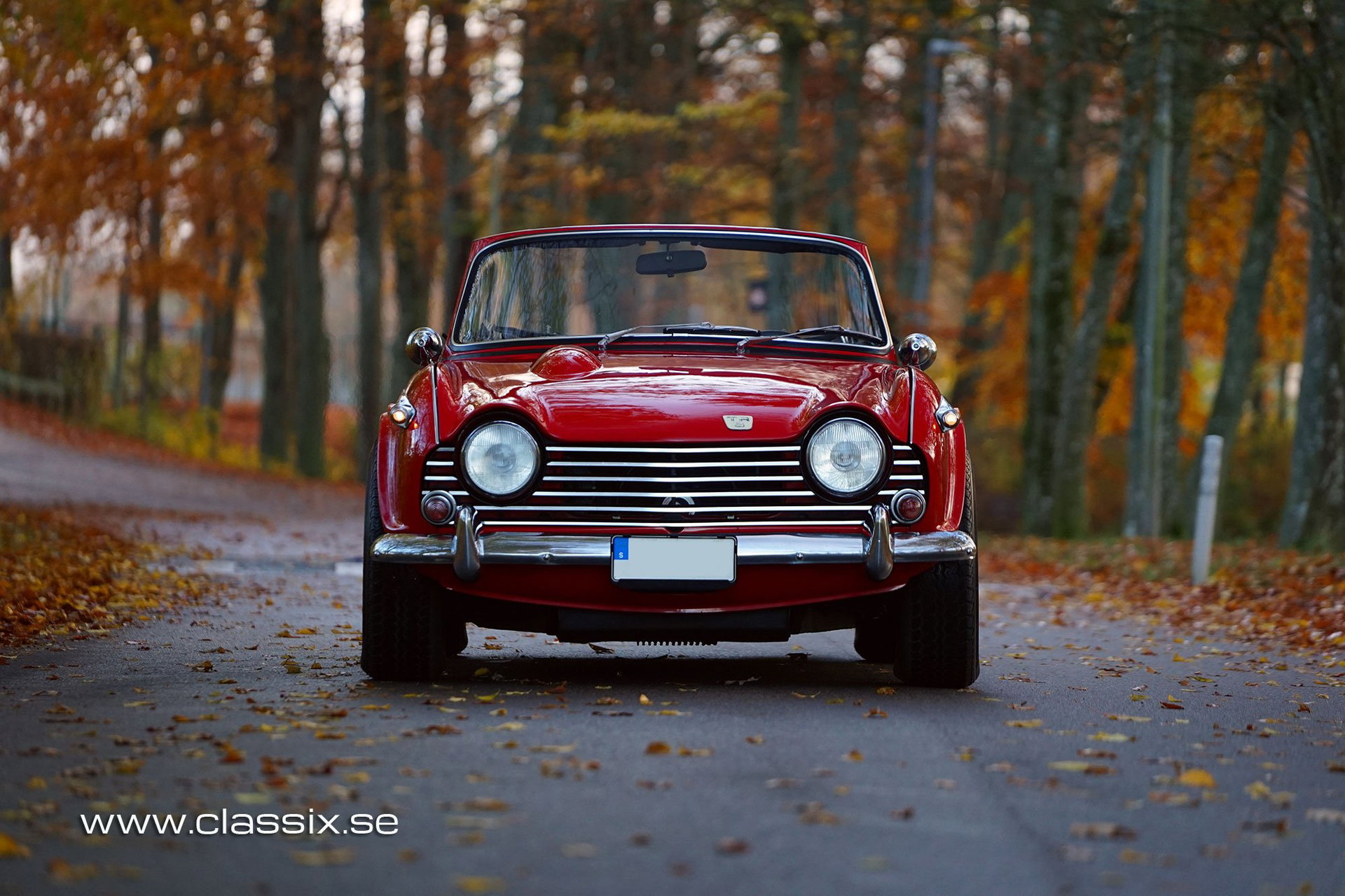 1968 Triumph TR5 - PI, foto 5