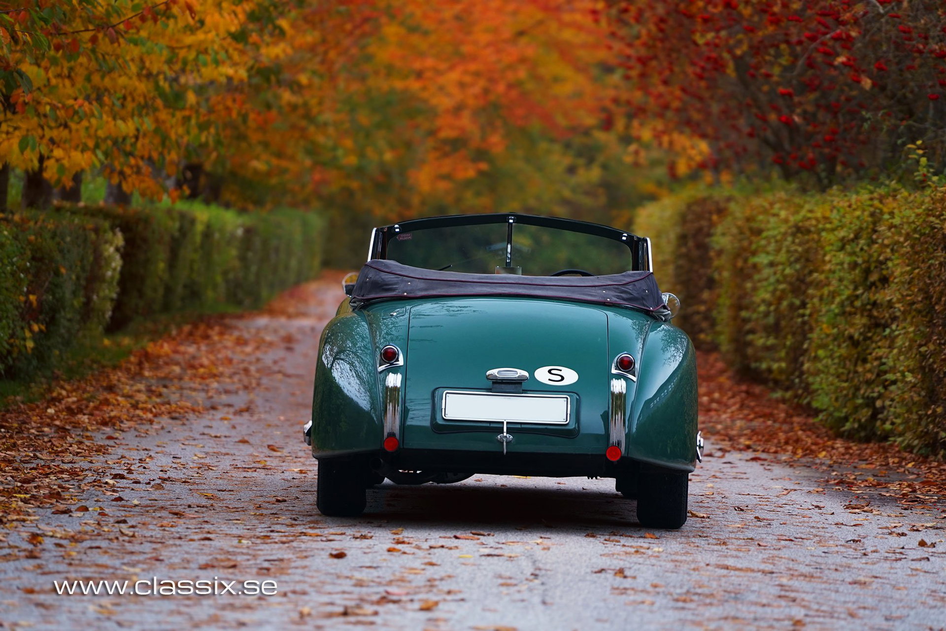 1954 Jaguar XK 120 - DHC, foto 2