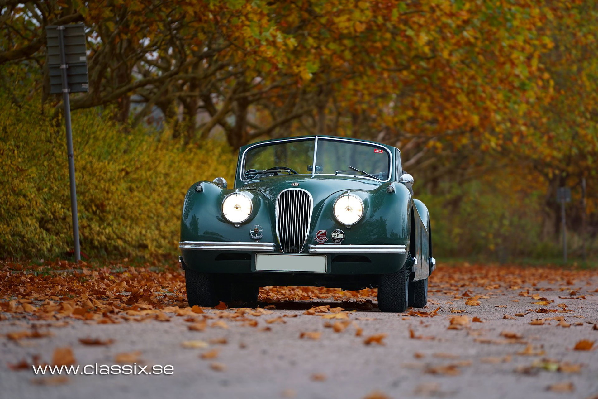 1954 Jaguar XK 120 - DHC, foto 4
