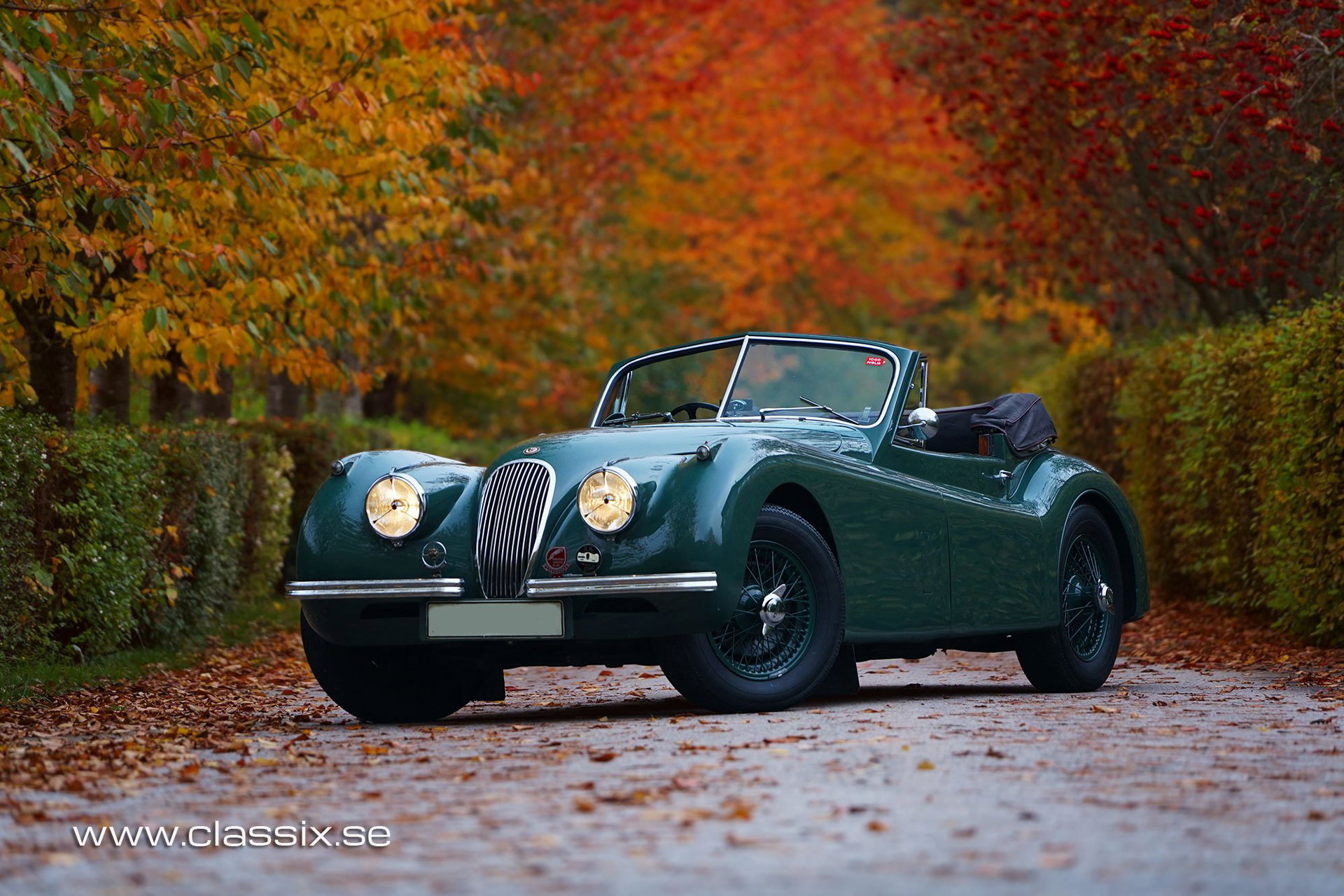 1954 Jaguar XK 120 - DHC, foto 1