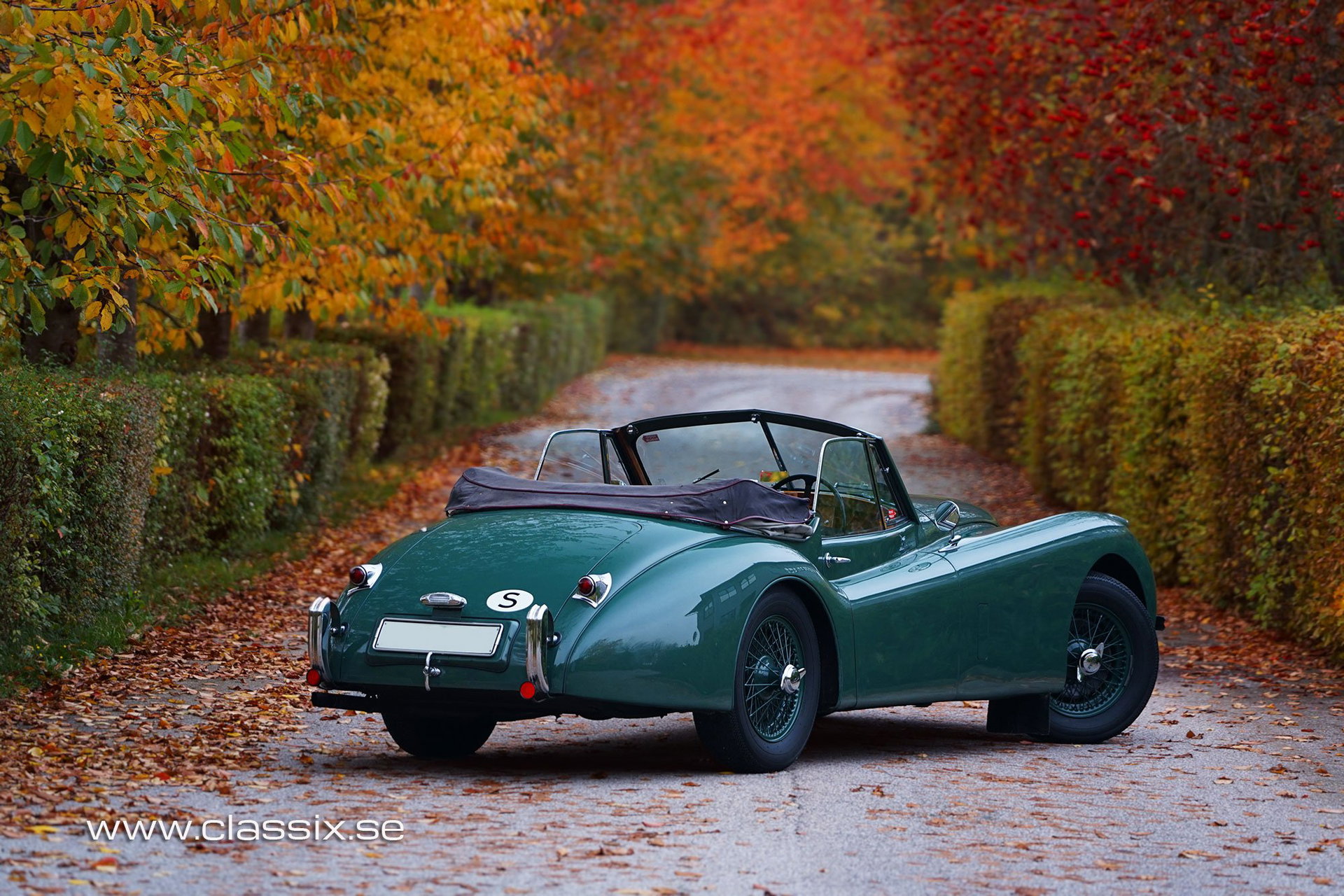 1954 Jaguar XK 120 - DHC, foto 6
