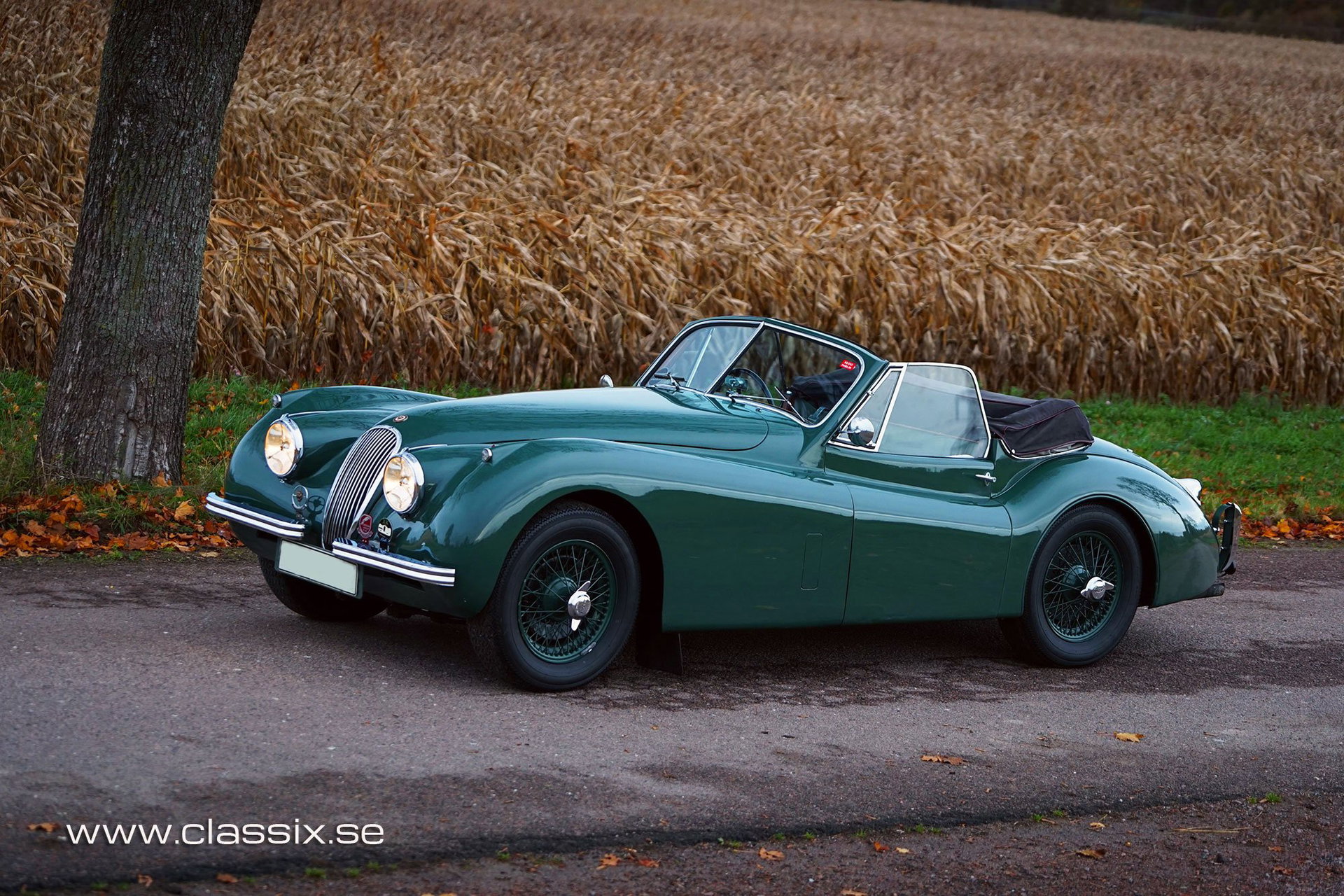 1954 Jaguar XK 120 - DHC, foto 8