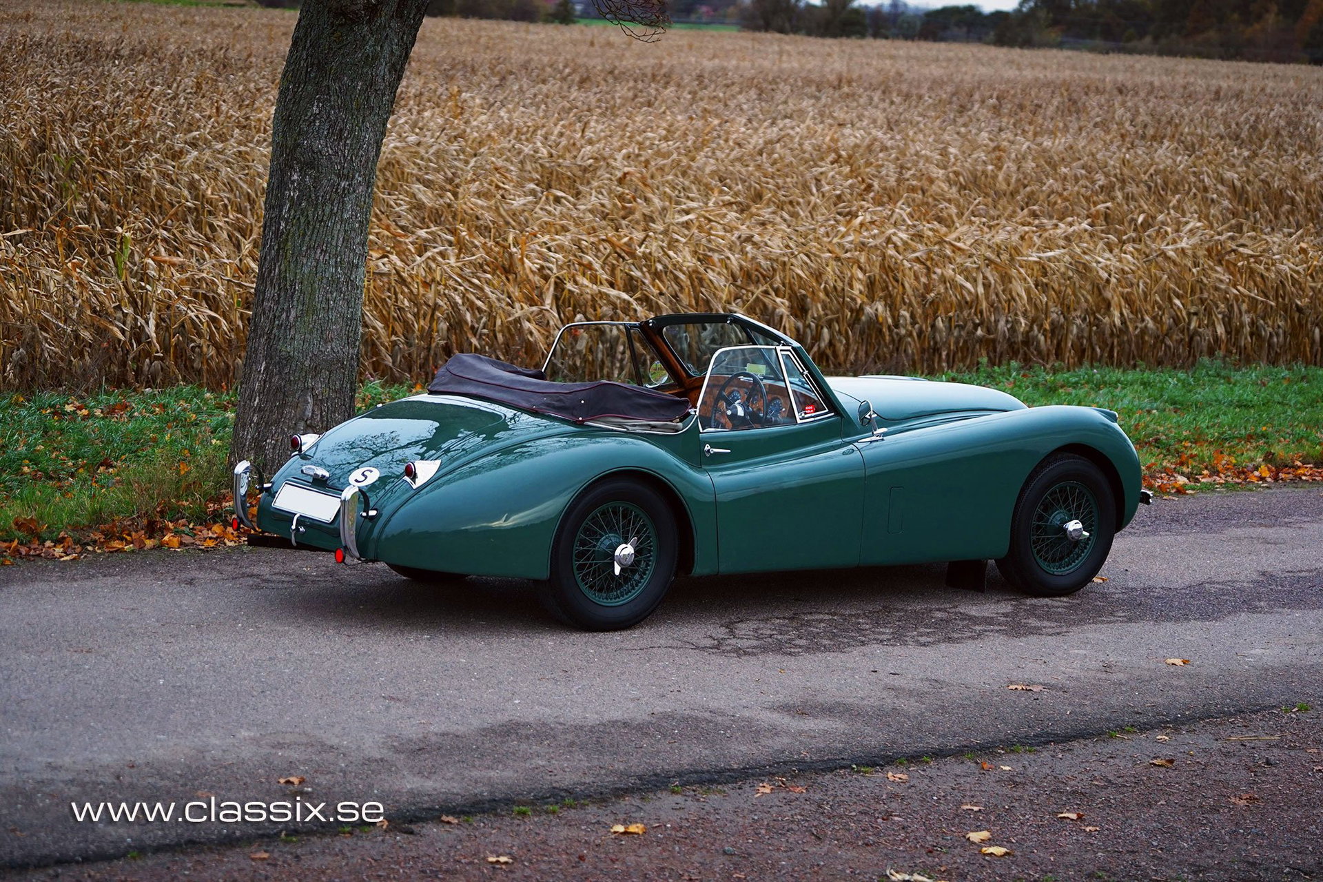1954 Jaguar XK 120 - DHC, foto 9