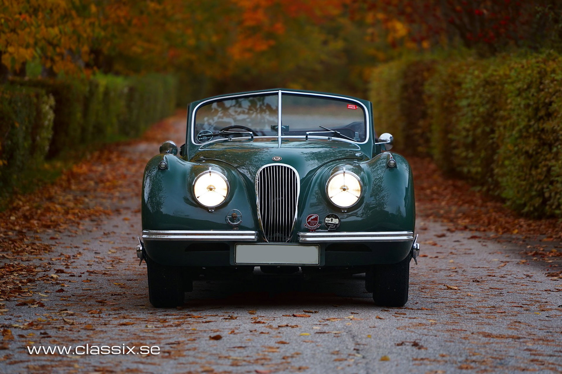 1954 Jaguar XK 120 - DHC, foto 12