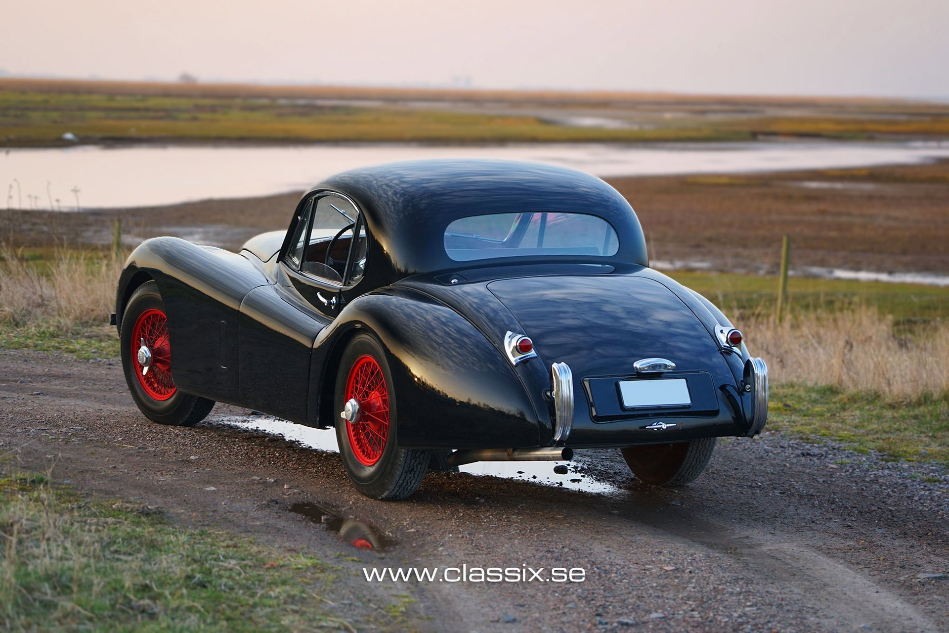 1952 Jaguar XK 120 - Coupe, foto 2