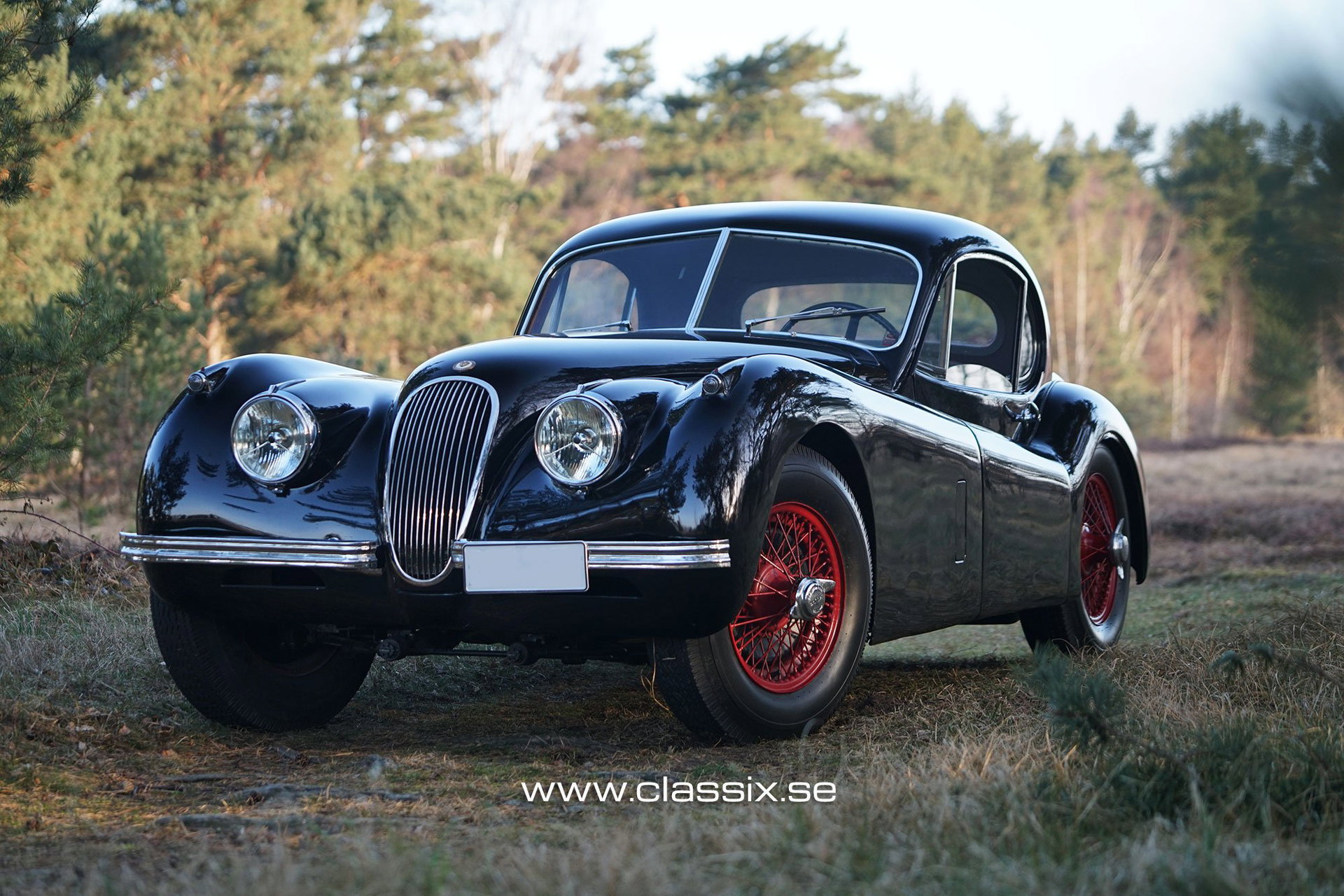 1952 Jaguar XK 120 - Coupe, foto 1