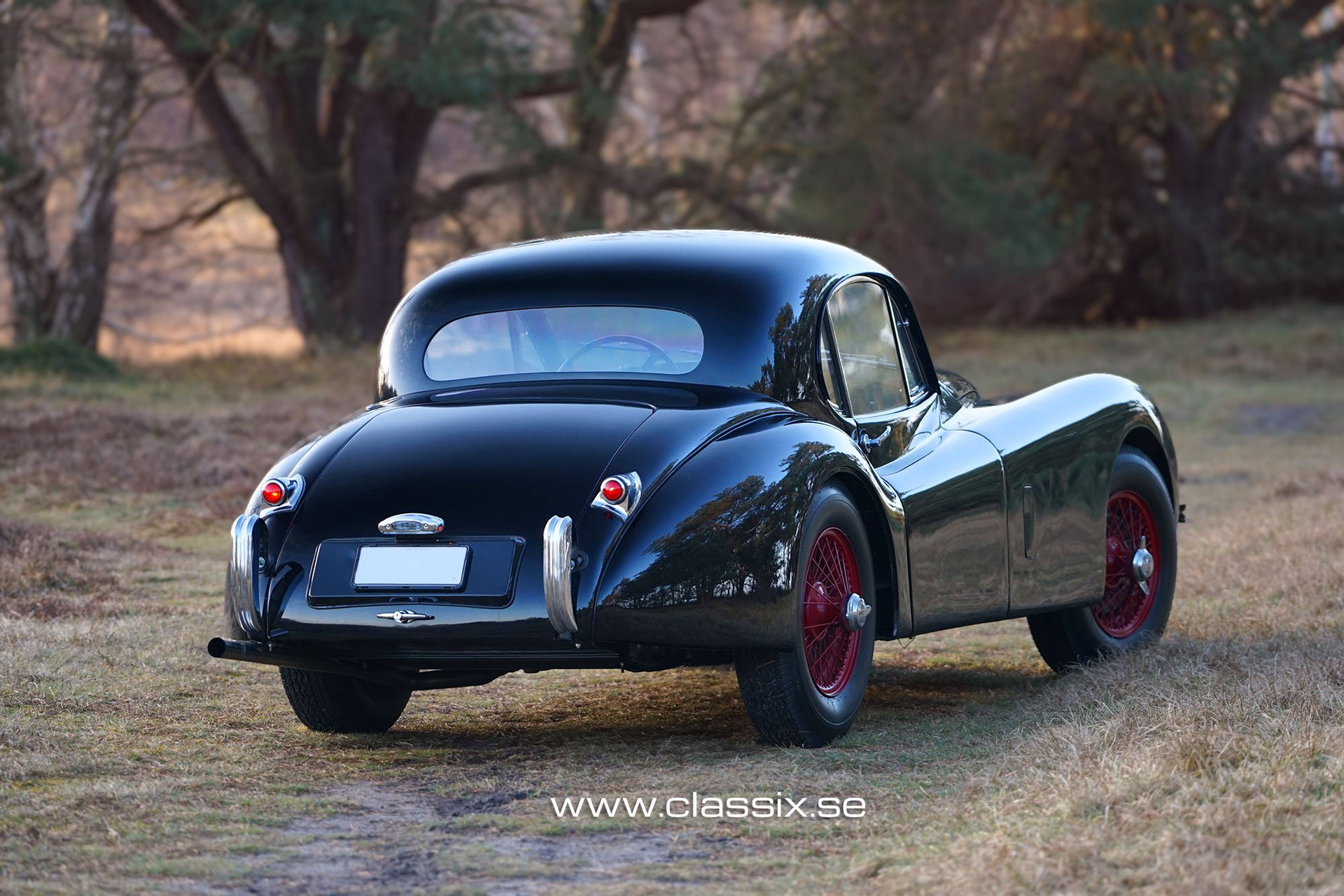 1952 Jaguar XK 120 - Coupe, foto 3