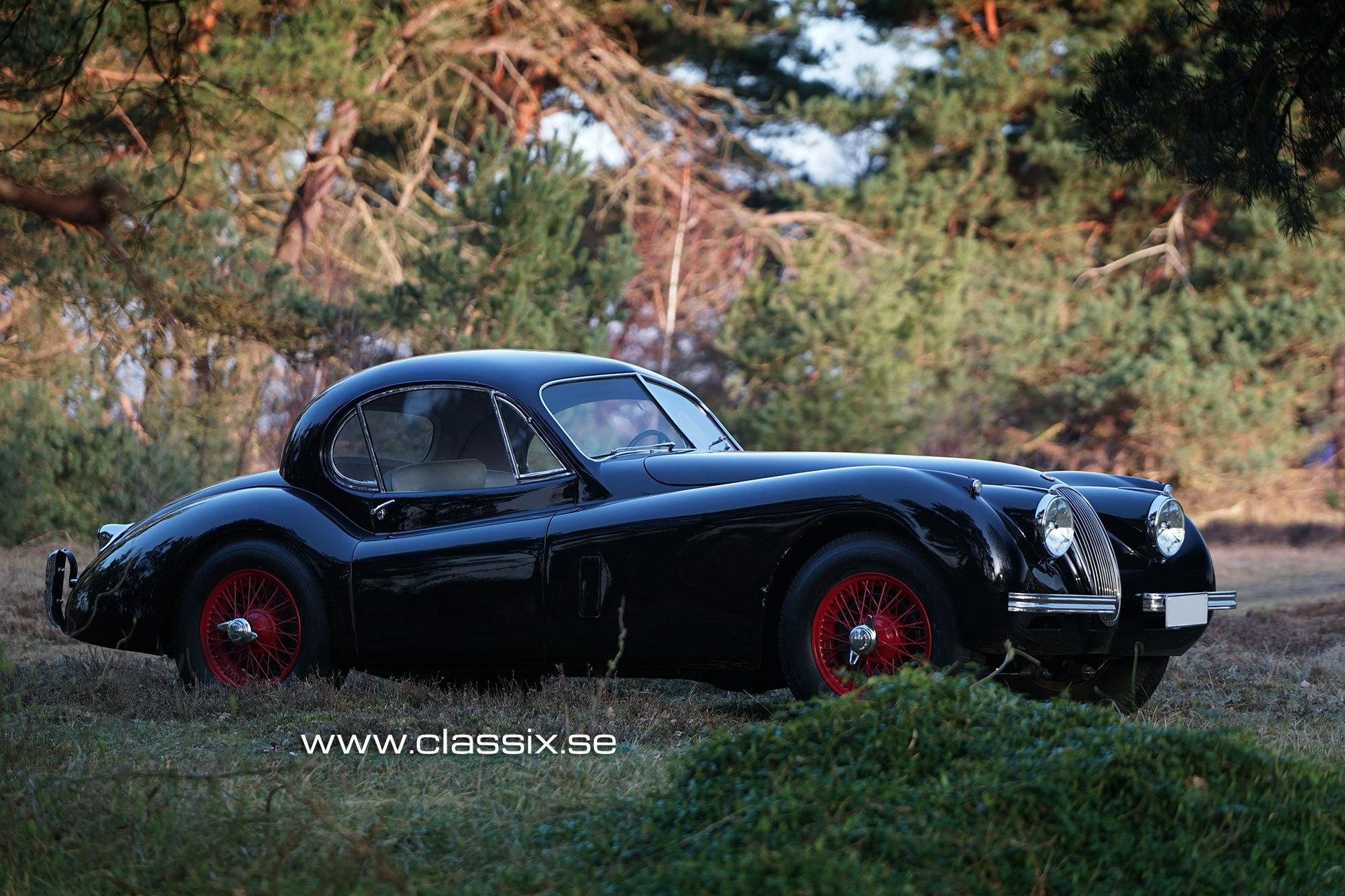 1952 Jaguar XK 120 - Coupe, foto 10