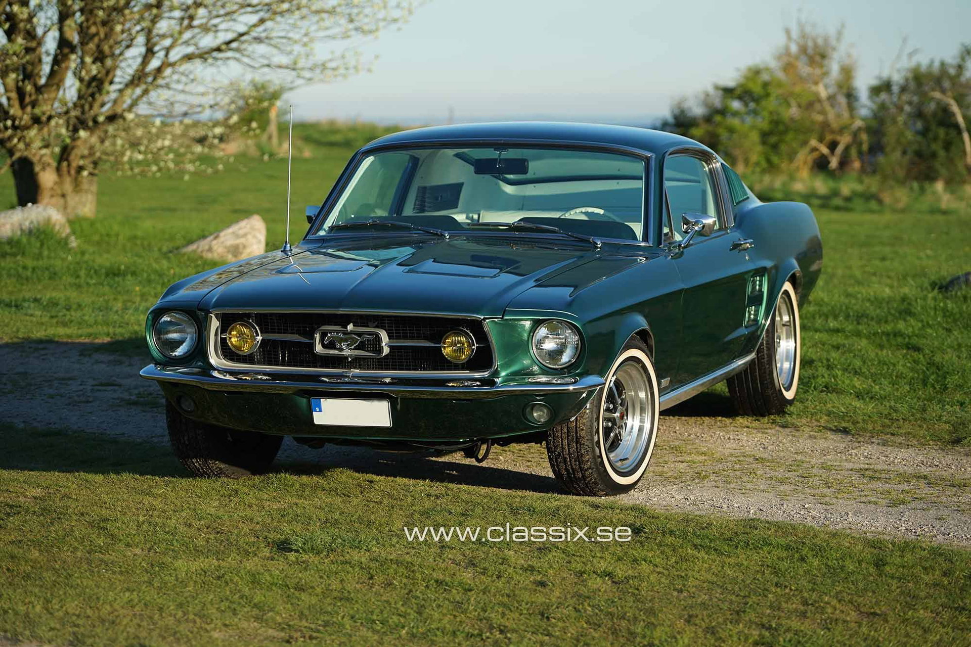 1967 Ford Mustang - Fastback 390 S Code, foto 2