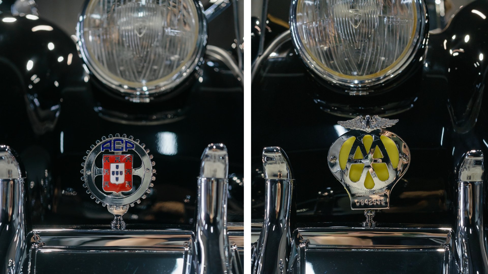 1950 Riley RMC - RMC Roadster 2,5, foto 4