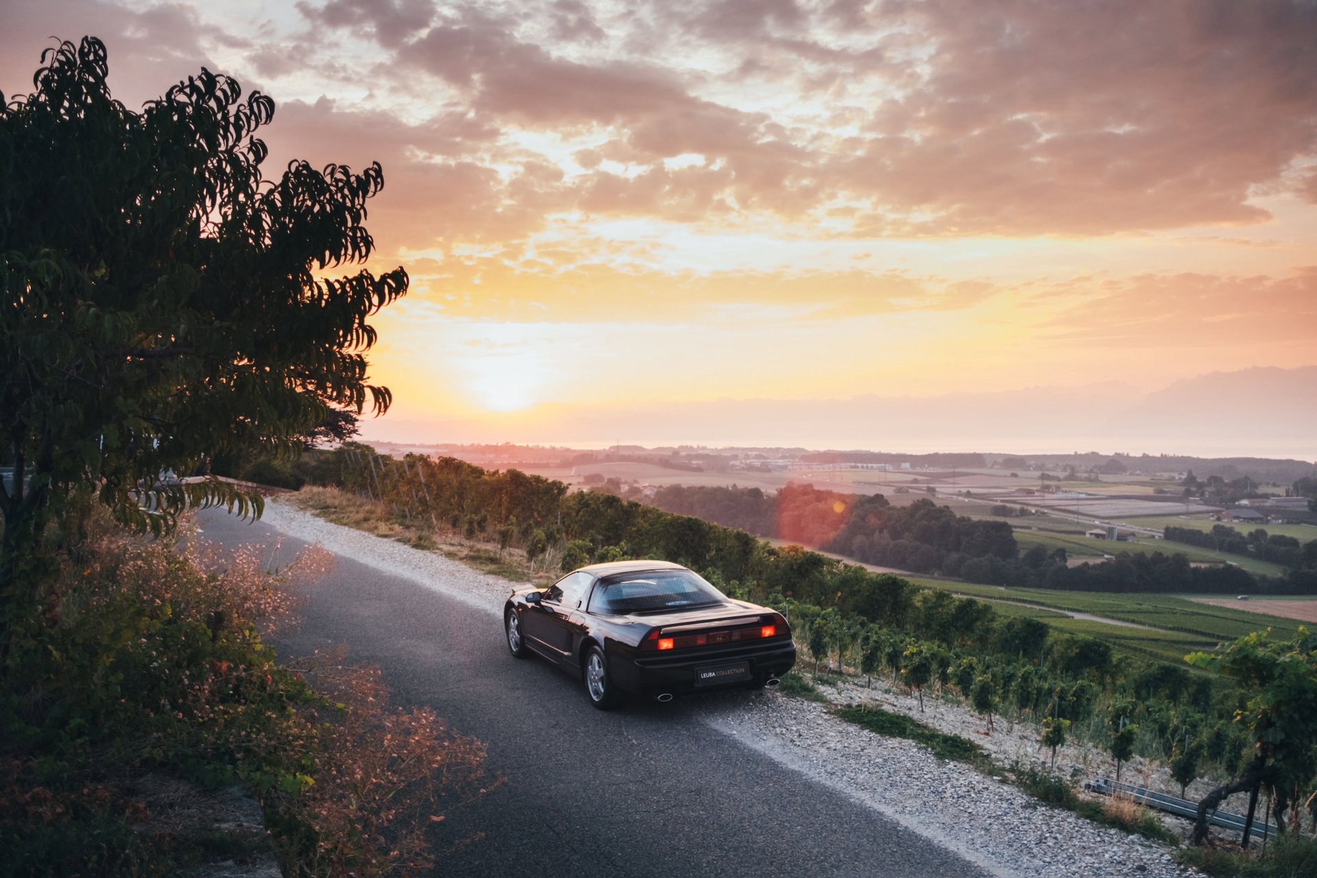 1991 Honda NSX - NSX 3.0i-24 V6, foto 8