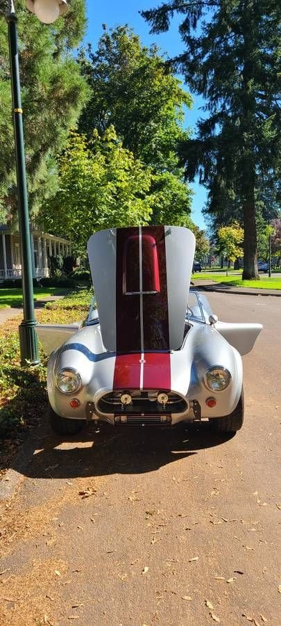1964 Unique Motorcars 289 Cobra, foto 8