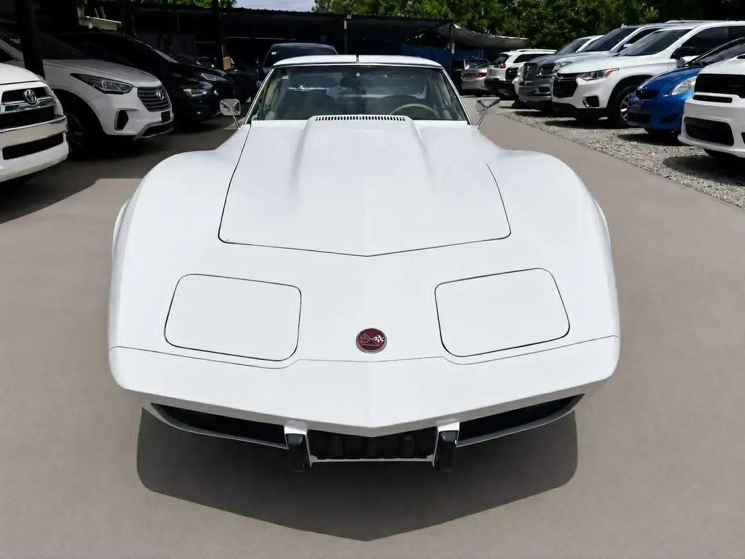 1976 Chevrolet Corvette, foto 5