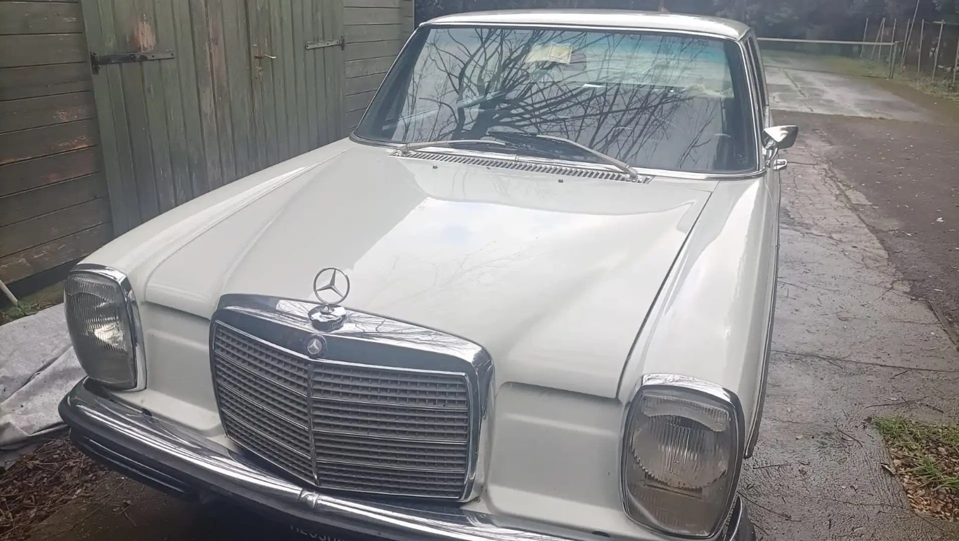 1971 Mercedes-Benz /8, foto 2