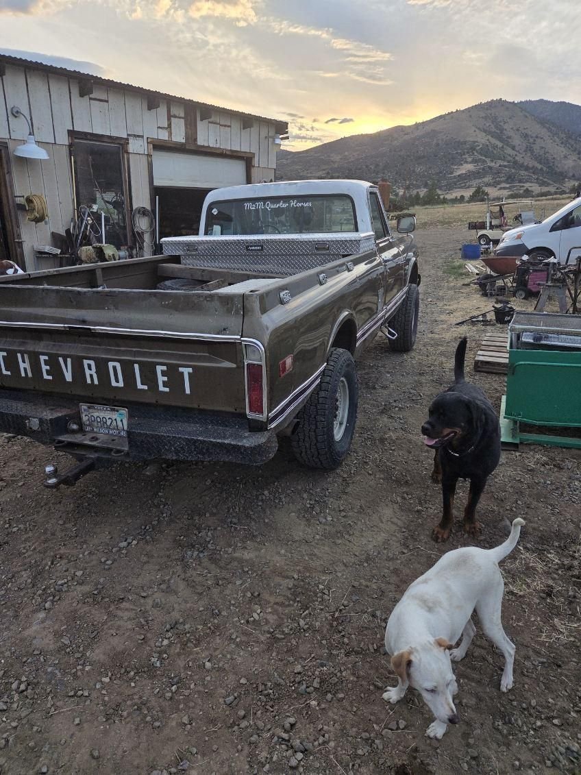 1970 Chevrolet Pick-Up, foto 4