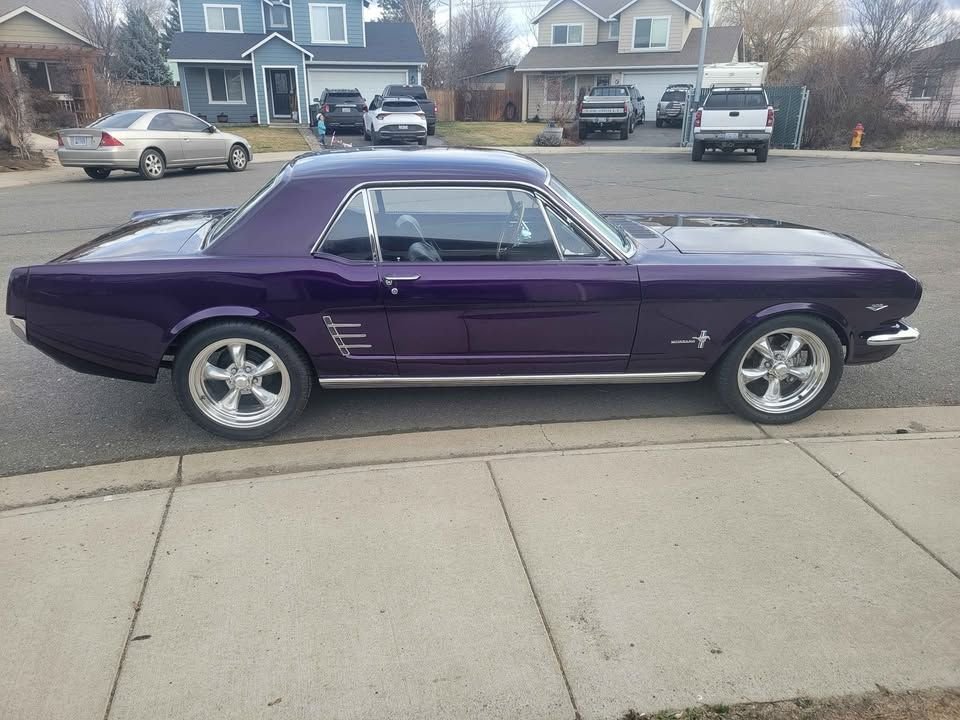 1966 Ford Mustang - Boss 302, foto 4