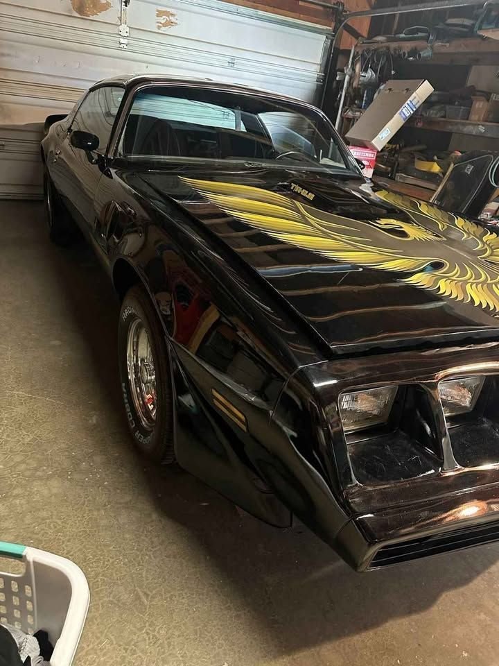 1979 Pontiac Firebird, foto 2