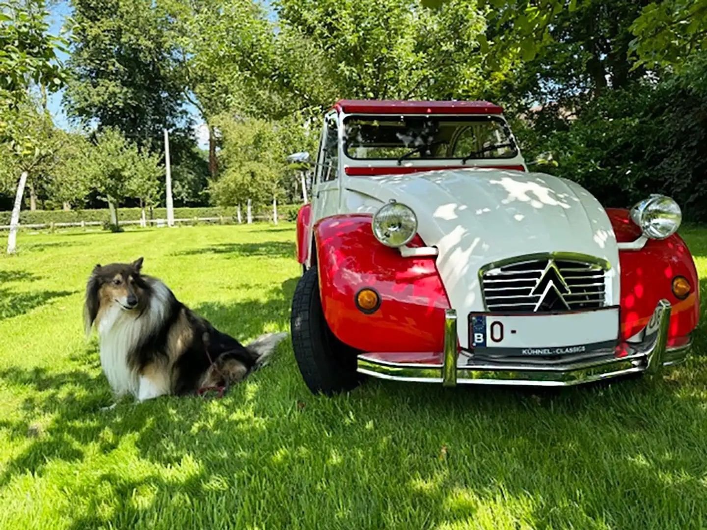1989 Citroen 2CV - Charleston, foto 3