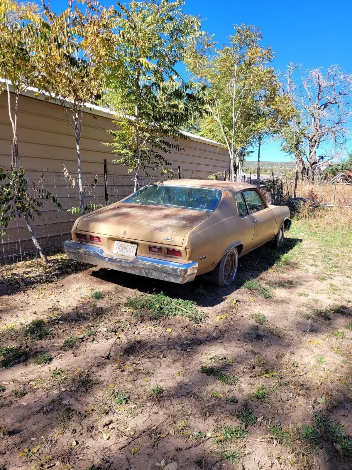 1974 Chevrolet Nova, foto 10