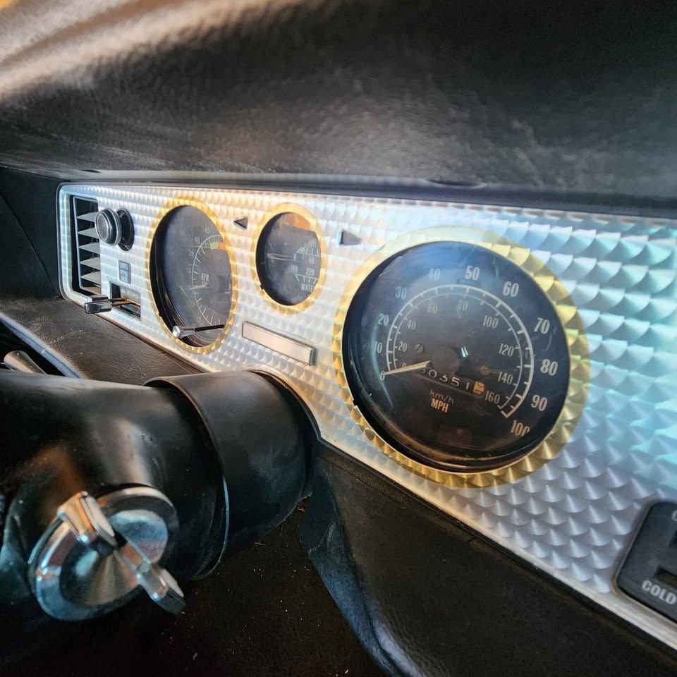 1979 Pontiac Firebird, foto 9