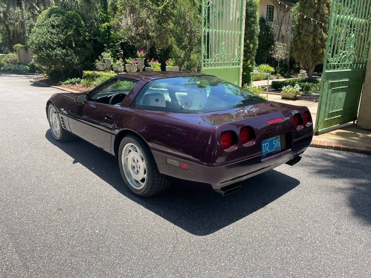 1993 Chevrolet Corvette - "40th Anniversary Classic", foto 10