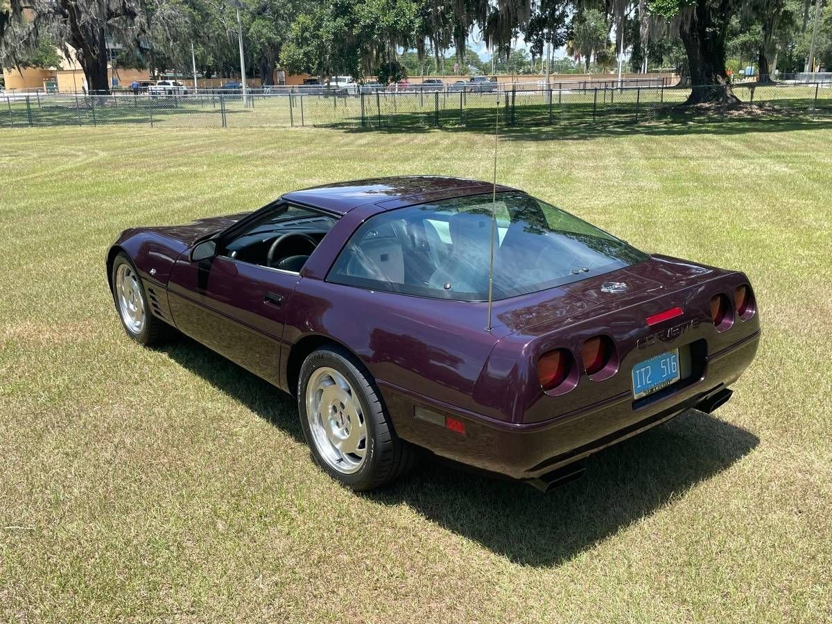 1993 Chevrolet Corvette - "40th Anniversary Classic", foto 8