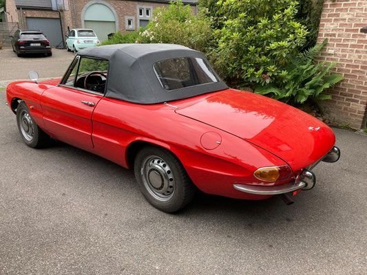 1966 Alfa Romeo Spider, foto 3