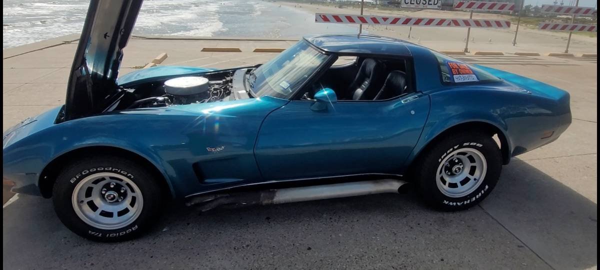 1979 Chevrolet Corvette - T-Top, foto 10