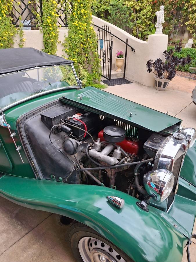 1951 MG TD - Roadster, foto 3