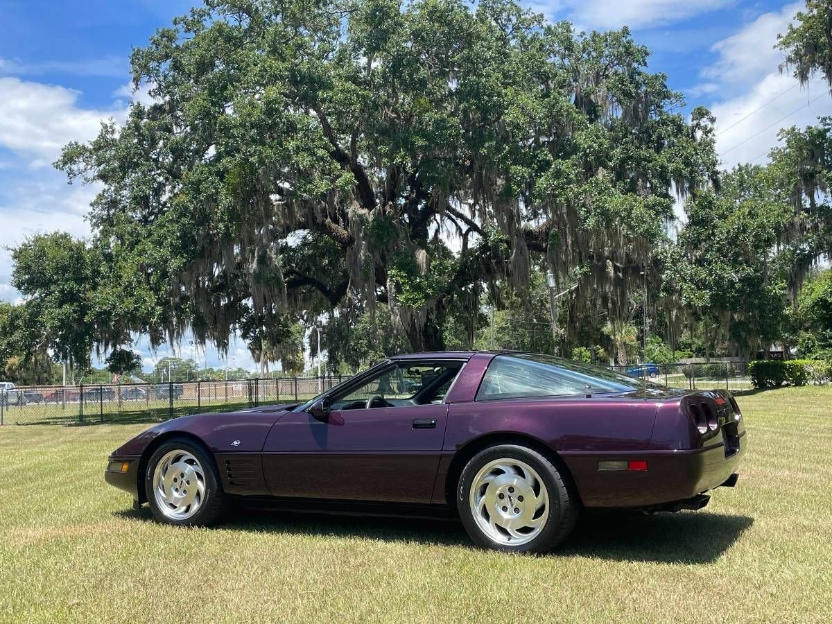 1993 Chevrolet Corvette - "40th Anniversary Classic", foto 9