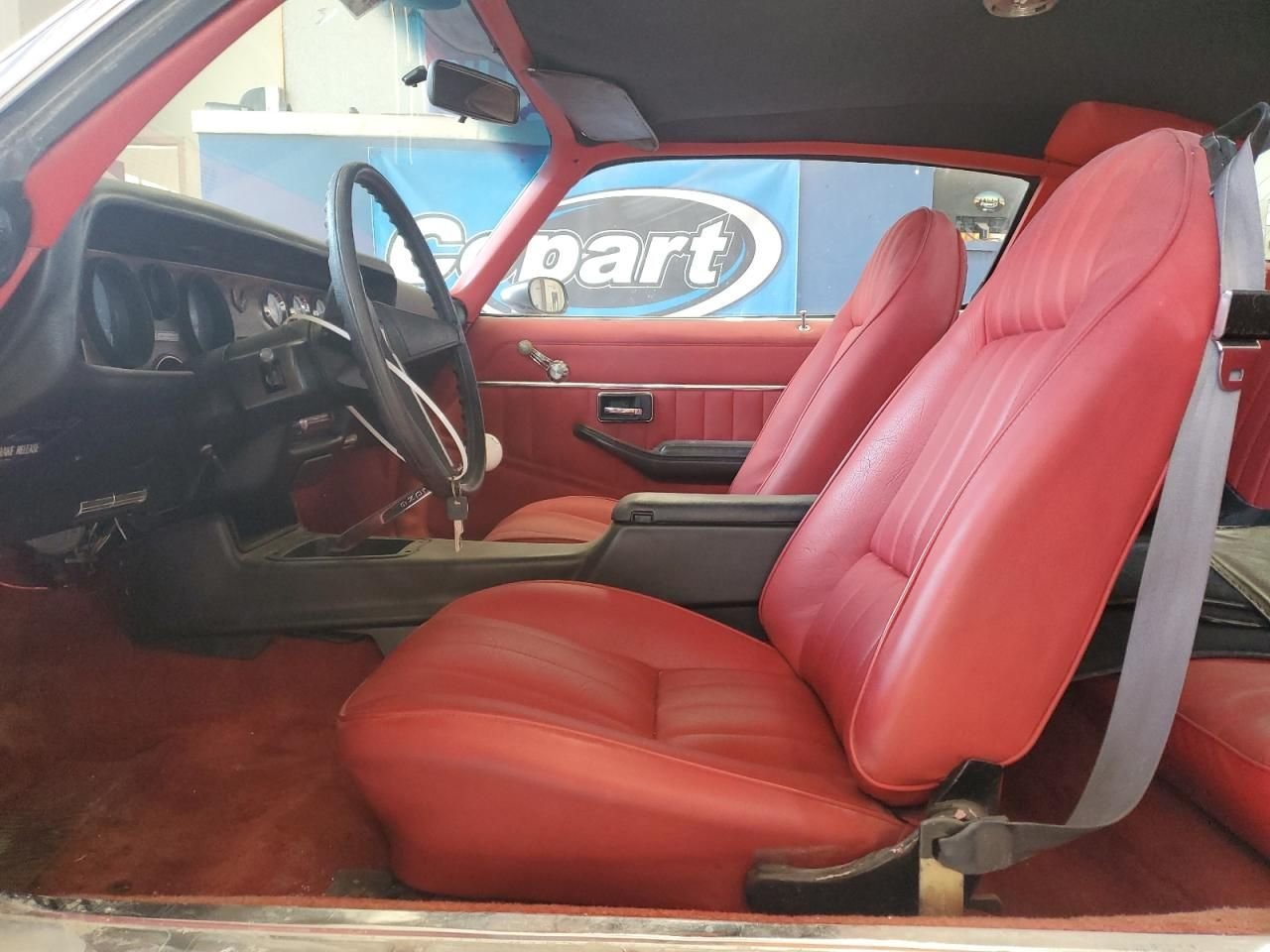 1981 Pontiac Firebird, foto 9