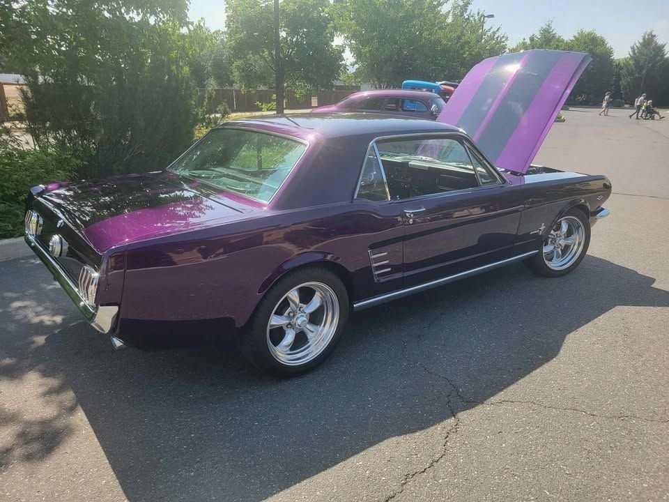 1966 Ford Mustang - Boss 302, foto 5