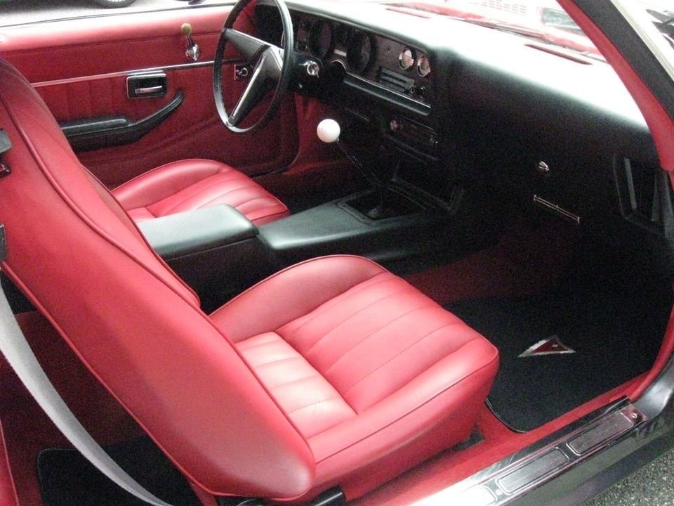 1981 Pontiac Firebird, foto 12