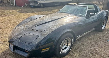 1981 Chevrolet Corvette 5fe7f4fbd395a146d7fc614dfaef9a5e.jpeg