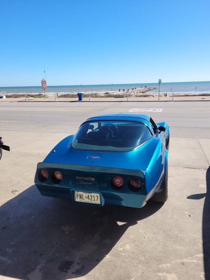 1979 Chevrolet Corvette - T-Top, foto 6