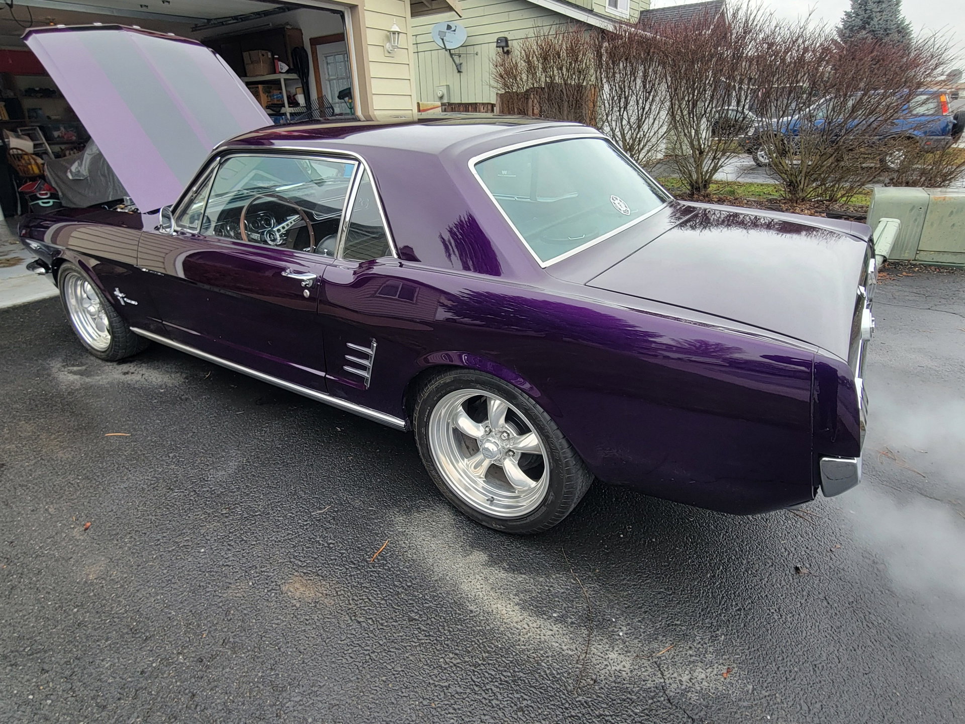 1966 Ford Mustang - Boss 302, foto 6