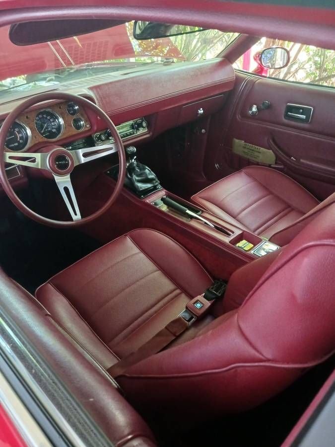1975 Buick Skyhawk, foto 6