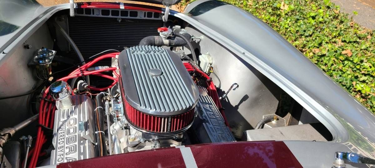 1964 Unique Motorcars 289 Cobra, foto 12