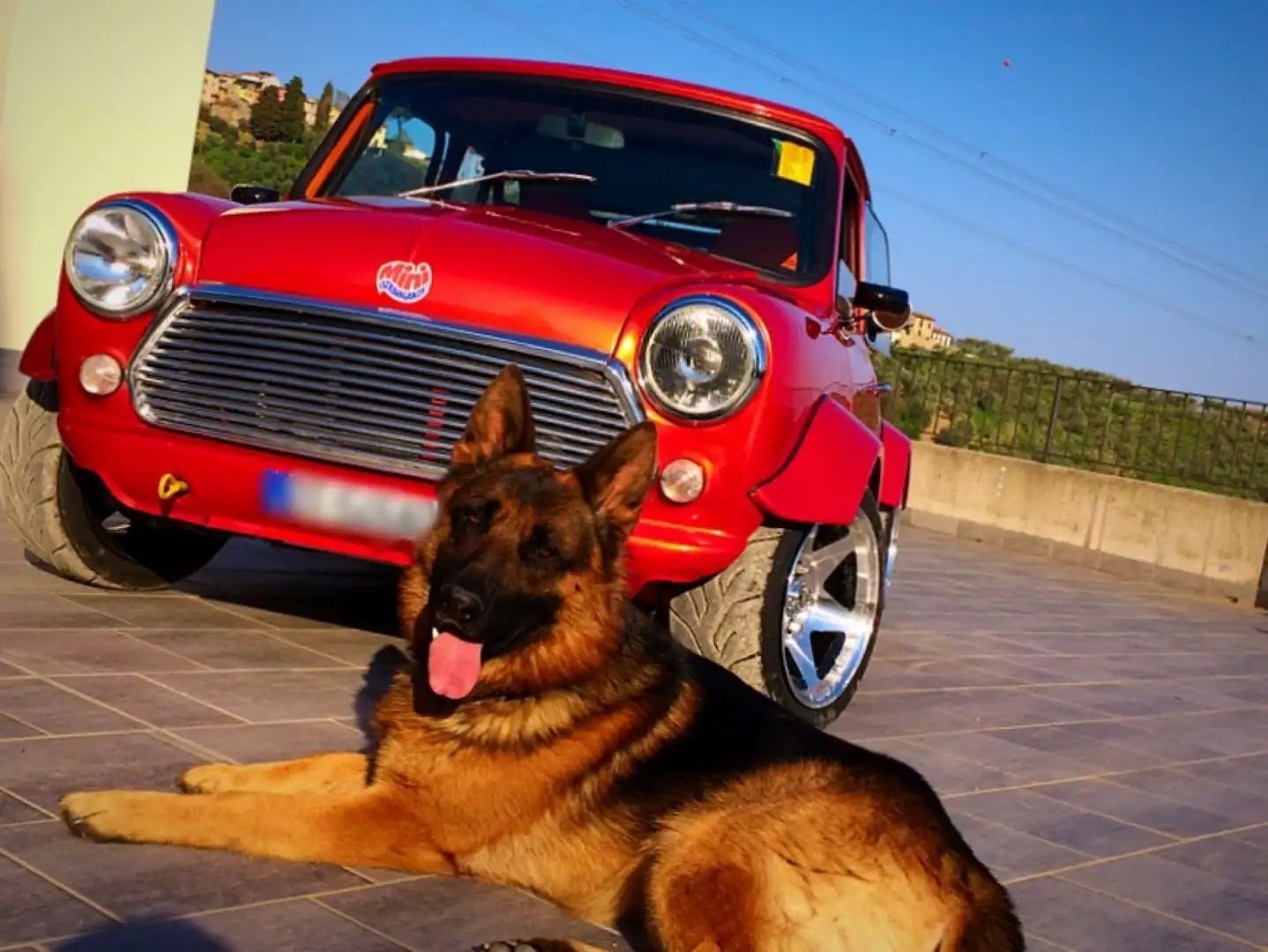 1978 Austin Z Cars, foto 3