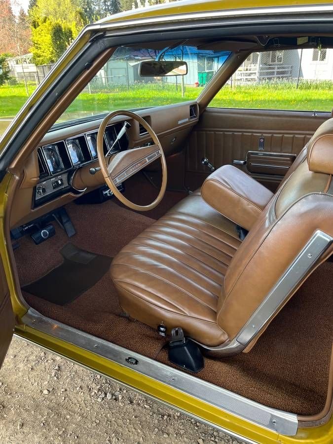 1971 Buick Skylark, foto 9