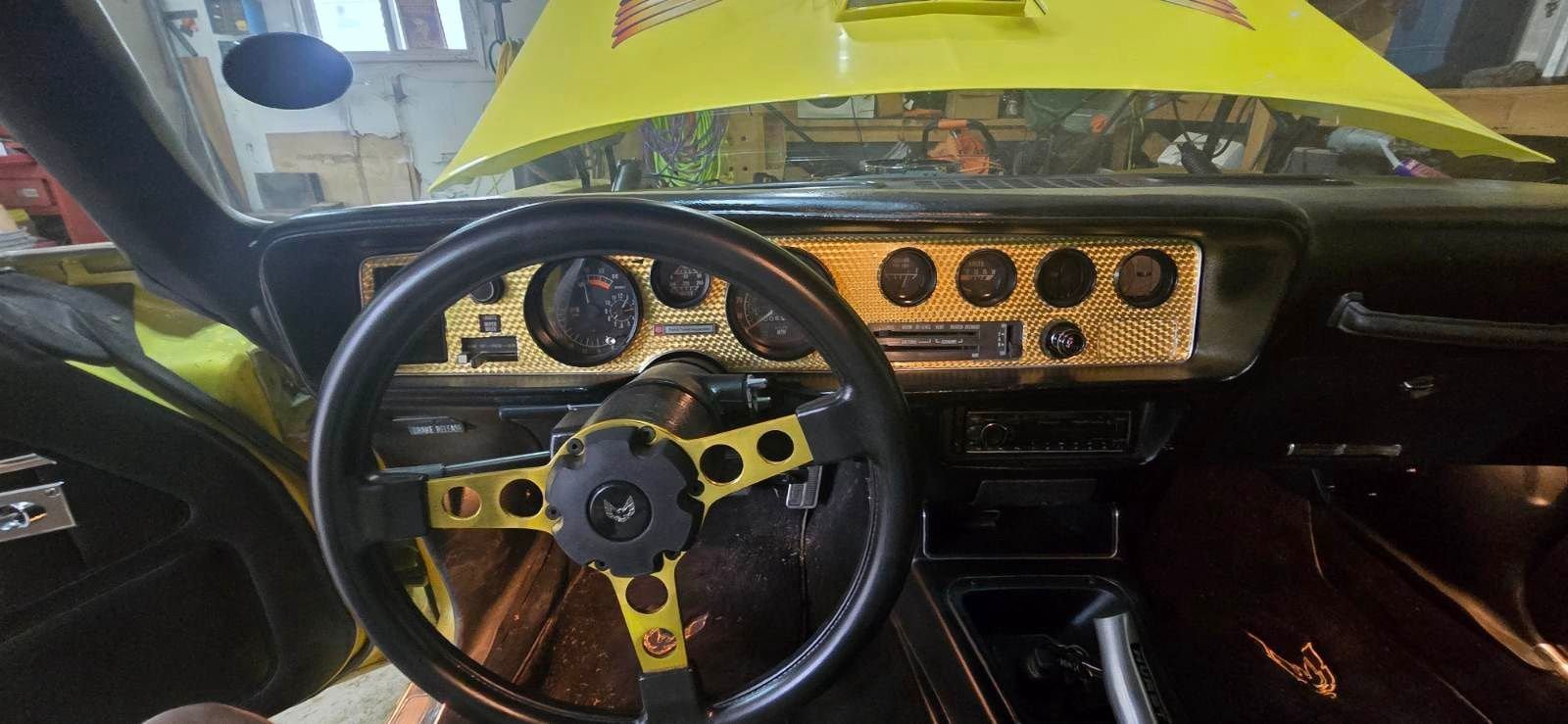 1979 Pontiac Firebird, foto 12