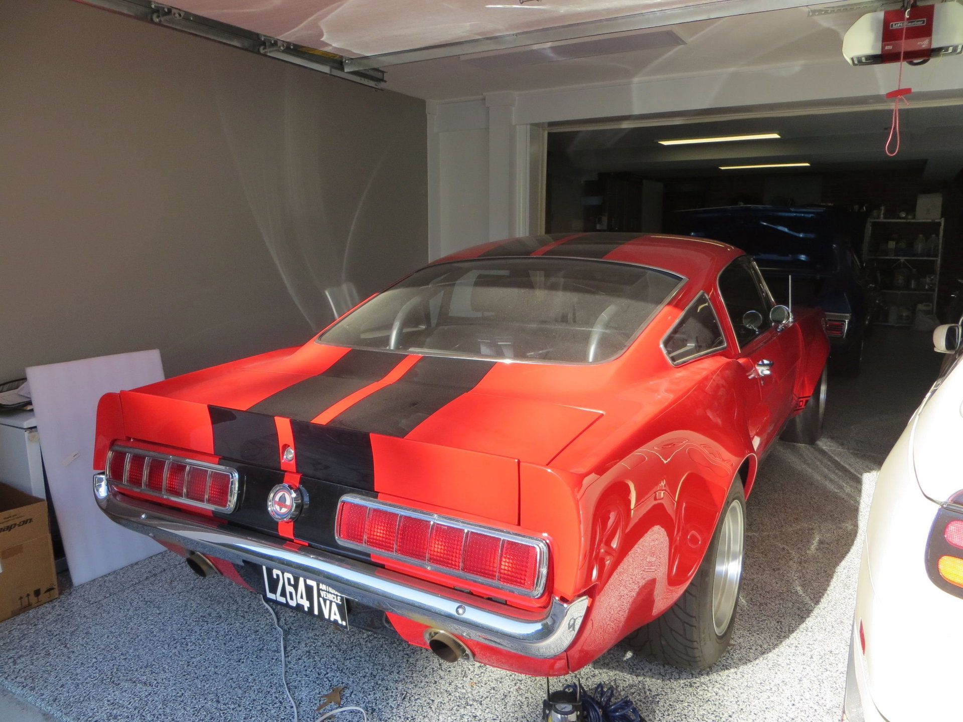 1965 Ford Mustang - GT350 Tribute, foto 5