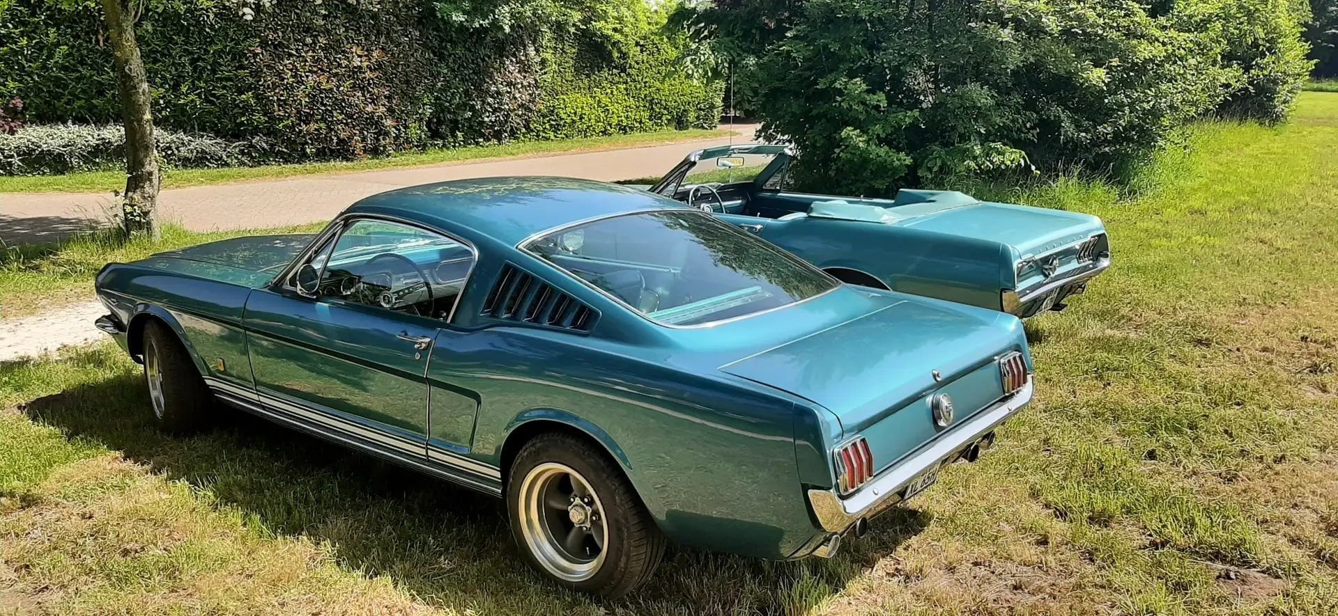 1965 Ford Mustang, foto 10